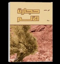 رواية حجارة الألم